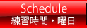 練習時間・曜日