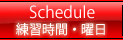 練習時間・曜日