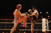 聖域2012~FINAL~